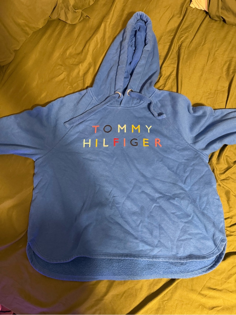 Tommy Hilfiger Royal Blue Hoodie with Multicolor Logo